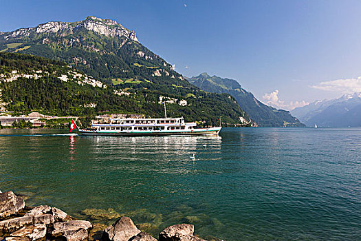 游船,琉森湖,施维茨,地区,瑞士