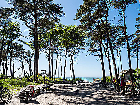 自行车,停车场,海滩,西部,进入,波罗的海,半岛,梅克伦堡州,德国