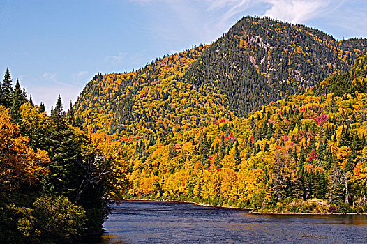 卡地亚,河,山谷,围绕,秋色,魁北克,加拿大