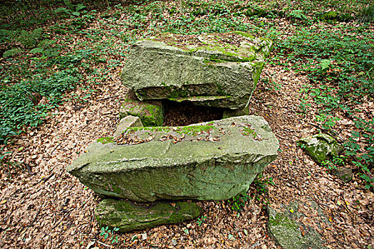 巨石,墓地,树林,梅克伦堡前波莫瑞州,德国,欧洲