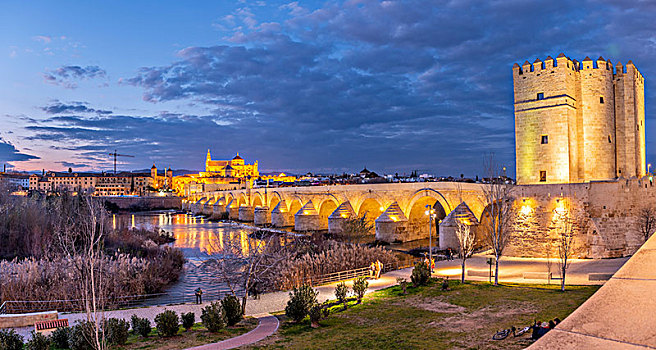 光亮,要塞,罗马桥,上方,瓜达尔基维尔河,后面,科多巴,夜景,安达卢西亚,西班牙,欧洲