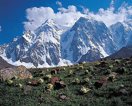 中国新疆天山博格达峰风景