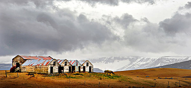 老,谷仓,覆雪,山峦,背景,冰岛