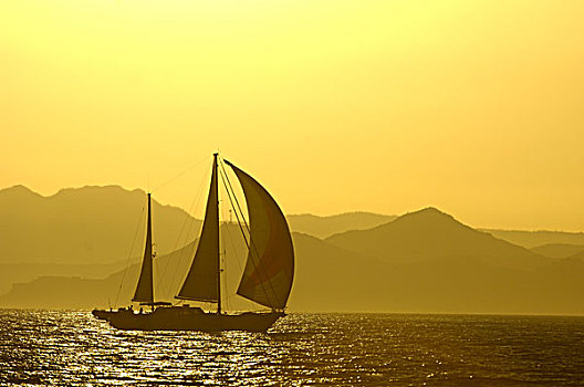 帆船,剪影,日落,科特兹海,墨西哥,北美