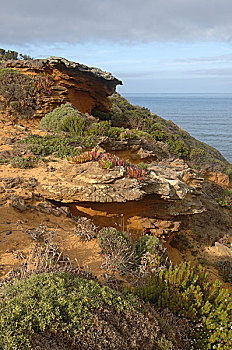葡萄牙,西海岸,自然,石头