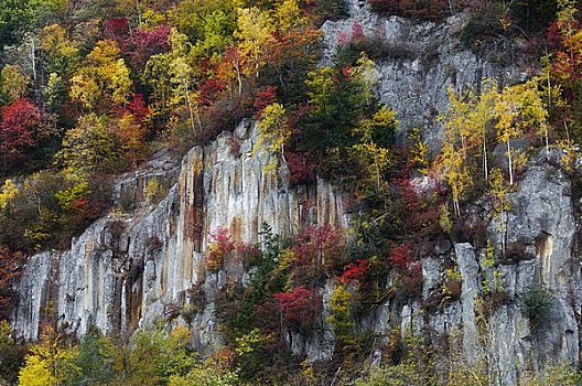 峡谷,大雪山国家公园,北海道,日本