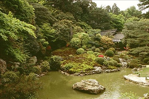 水塘,花园,京都,日本
