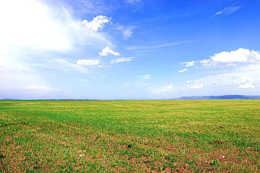 美丽的科尔沁草原
