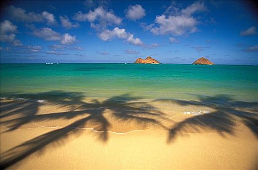 夏威夷,瓦胡岛,棕榈树,影子,海滩,莫库鲁阿岛,岛屿,远景,青绿色,水