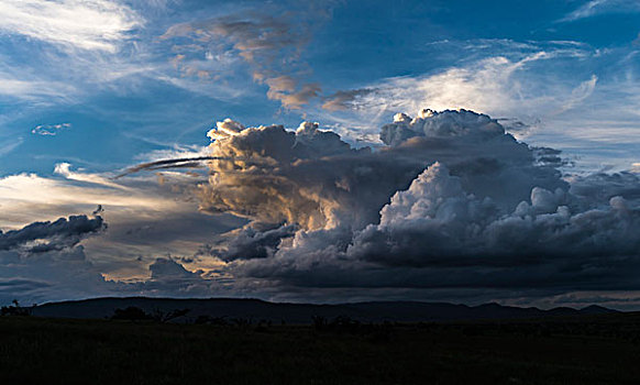 云,上方,野生动植物保护区,高地,肯尼亚,大幅,尺寸