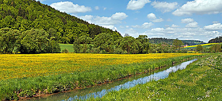 河,山谷,花,草地,小路,靠近,自然公园,巴伐利亚,德国,欧洲