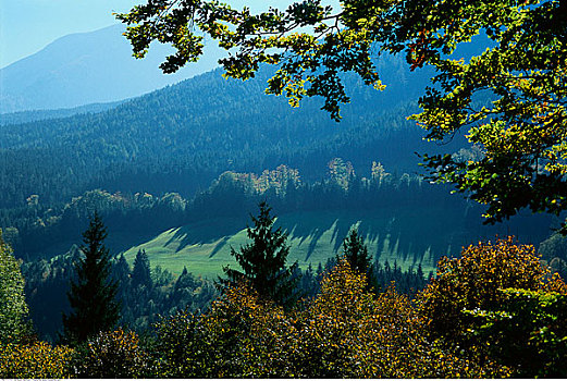 秋天,景色,萨尔茨堡,奥地利