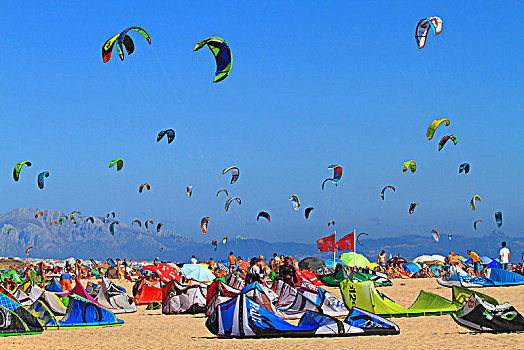 西班牙,安达卢西亚,塔里,拥挤,海滩,天空,满,风筝,非洲,背景