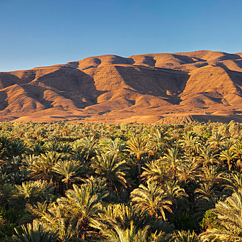 德拉河谷,阿特拉斯山脉,南,摩洛哥,非洲