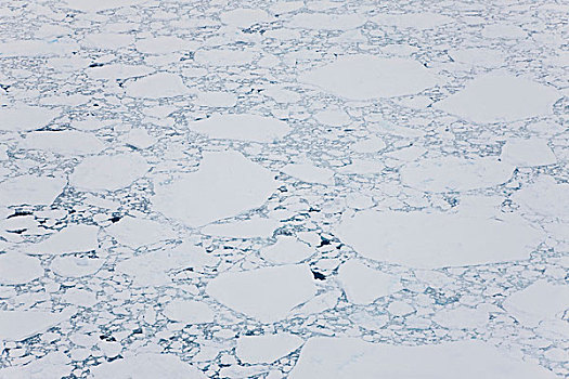 航拍,俯视,海冰,靠近,格陵兰