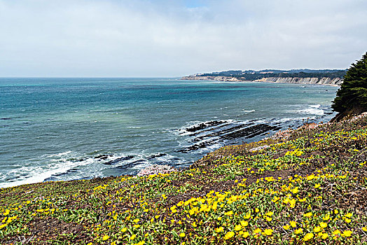 加利福尼亚,太平洋海岸,靠近,堡垒