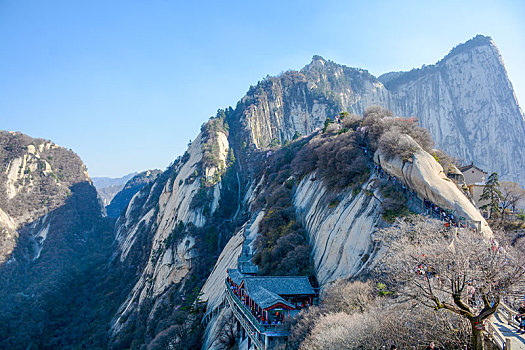 华山春日盛景