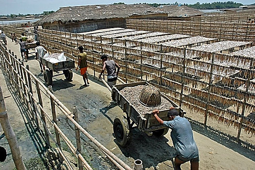 干鱼,植物,市场,孟加拉,四月,2006年,流行,孟加拉人,食物