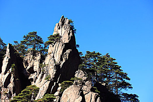 山,树木,岩石