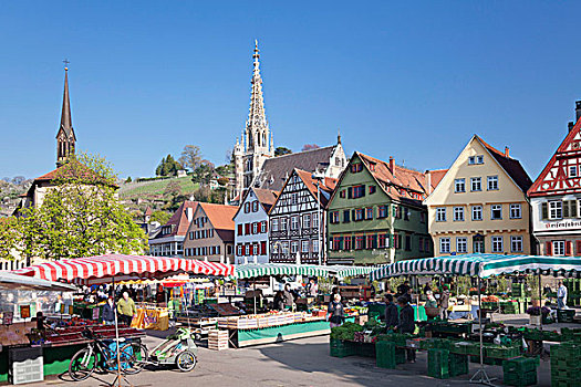 市场,埃斯林根,圣母大教堂,巴登符腾堡,德国,欧洲