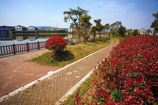 海曙,古林镇,仲一村,河道,公园,绿化,天空