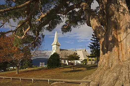 教堂,里士满,南岛,新西兰