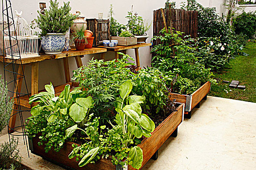 蔬菜,床,木质,板条箱,平台