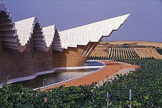 惊人,葡萄酒厂,设计,世界,著名,建筑师,圣地亚哥,起伏,铝,屋顶,船首,船,阿拉瓦,西班牙