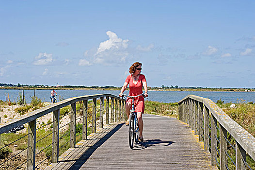 法国,海事的,雷岛,旅游,骑自行车,一个,许多,自行车,小路,岛屿