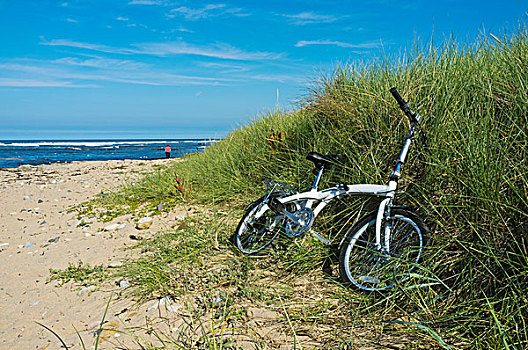 自行车,高草,海滩,女人,走,远景,诺森伯兰郡,英格兰