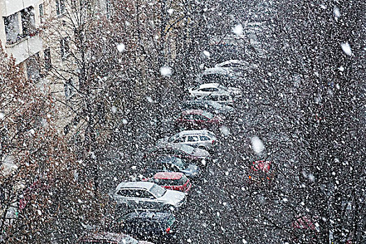 俯拍,汽车,停放,秃树,街上,城市,下雪,柏林,德国