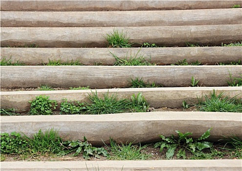 木质,阶梯,户外,杂草,台阶