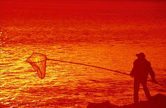 男人,捕鱼,日落,特纳甘湾,阿拉斯加