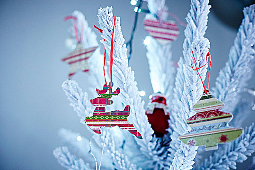 圣诞装饰,雪,圣诞树