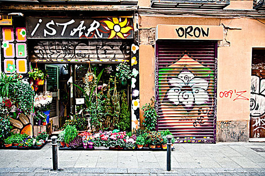 花店,街道,地区,马德里,西班牙,欧洲