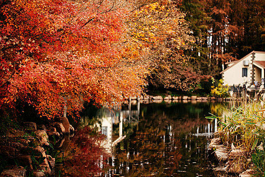 秋天的湖水公园