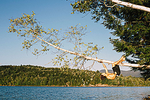 男青年,悬挂,树枝,探出,上方,湖,佛蒙特州,美国