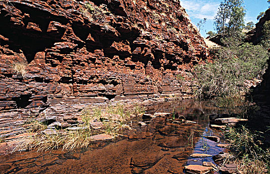 反射,岩石构造,水中,峡谷,卡瑞吉尼国家公园,西澳大利亚,澳大利亚