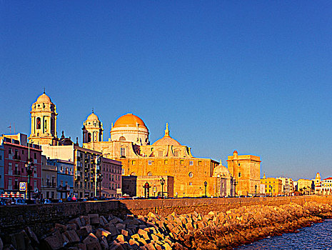 西班牙,港口,墙壁,大教堂,金色,夜光