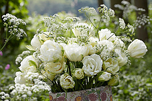 束,白色,郁金香,郁金香属,一对,花瓶,花园
