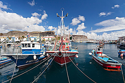 渔船,港口,波多黎各,大卡纳利岛,加纳利群岛,西班牙,欧洲