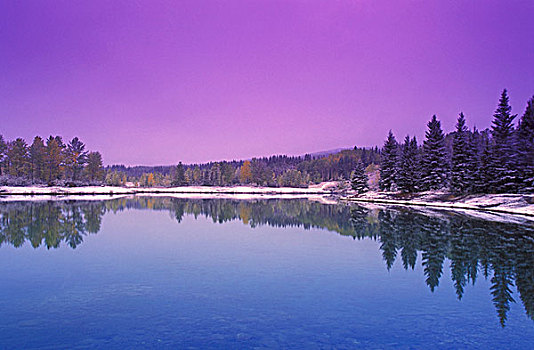 冬景,卡纳纳斯基斯,艾伯塔省,加拿大