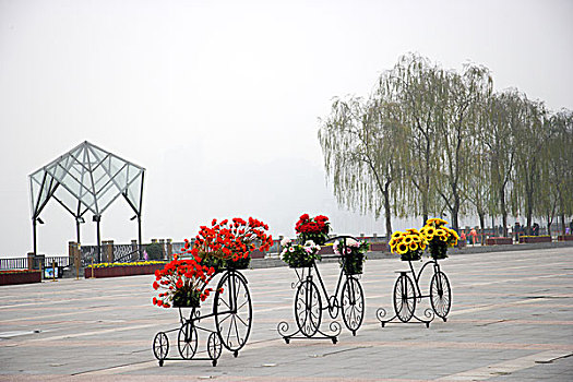重庆南岸区南滨路公园抽象自行车鲜花花车