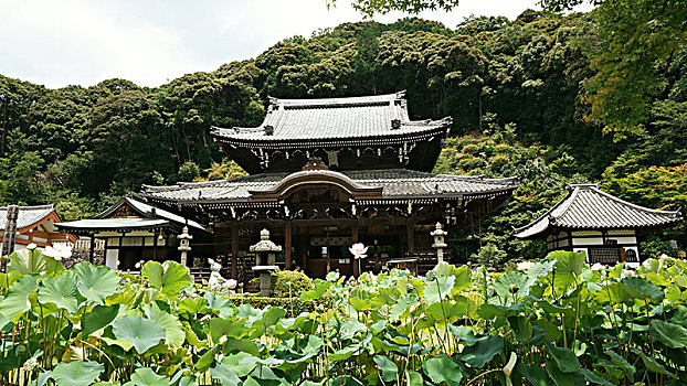 三室戸寺,mimurotoji