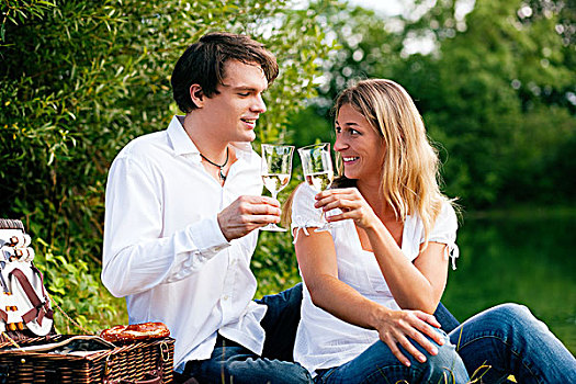 坐,夫妇,湖,野餐,碰杯,白葡萄酒