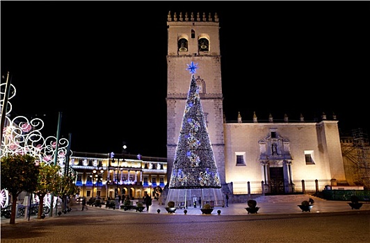 大教堂广场,圣诞树