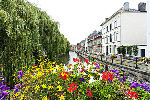 花,河,根特,比利时