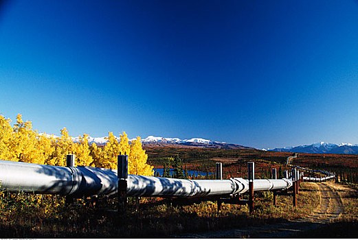 阿拉斯加输油管,阿拉斯加,美国