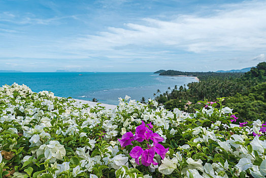 热带海岛自然风光,泰国苏梅岛海景