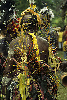 巴布亚新几内亚,河,男人,传统服饰,背影